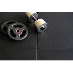 Silverback gym tile 8.jpg