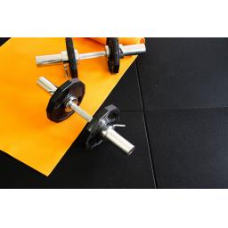 Silverback gym tile3.jpg