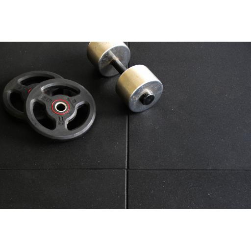 Silverback gym tile 8.jpg